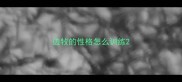边牧的性格怎么训练