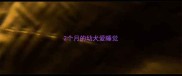 2个月的幼犬爱睡觉