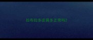 拉布拉多皮屑多正常吗