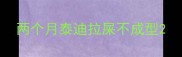 两个月泰迪拉屎不成型