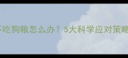哈士奇怀孕期间不吃狗粮怎么办5大科学应对策略与营养补充方案