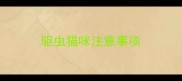 驱虫猫咪注意事项