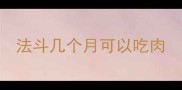 法斗几个月可以吃肉
