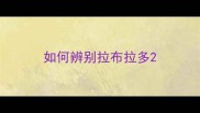 如何辨别拉布拉多