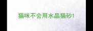 猫咪不会用水晶猫砂