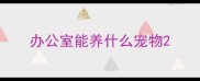 办公室能养什么宠物
