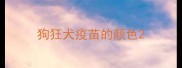 狗狂犬疫苗的颜色