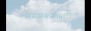 小狗后腿断了治疗