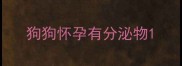 狗狗怀孕有分泌物