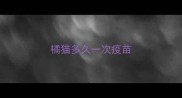 橘猫多久一次疫苗