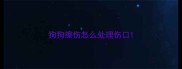 狗狗擦伤怎么处理伤口