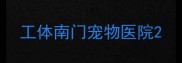 工体南门宠物医院