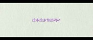 拉布拉多怕热吗6