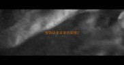 宠物店美容室内装修