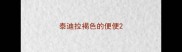 泰迪拉褐色的便便