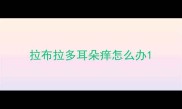 拉布拉多耳朵痒怎么办