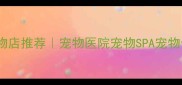天津正规宠物店推荐宠物医院宠物SPA宠物食品全攻略