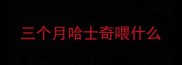 三个月哈士奇喂什么