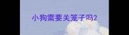 小狗需要关笼子吗