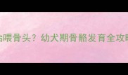 狗狗几个月开始喂骨头幼犬期骨骼发育全攻略附喂养指南