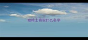 给哈士奇取什么名字
