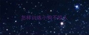 怎样训练小狗不咬人