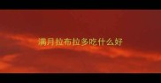 满月拉布拉多吃什么好