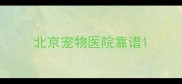 北京宠物医院靠谱