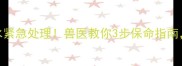 猫咪腹积水紧急处理兽医教你3步保命指南附真实案例