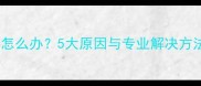 拉布拉多吃食不嚼怎么办5大原因与专业解决方法附训练指南