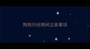狗狗月经期间注意事项