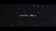 宠物狗狗吐了怎么办