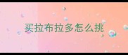 买拉布拉多怎么挑