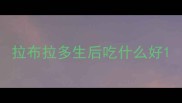 拉布拉多生后吃什么好