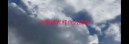 小泰迪犬打什么疫苗