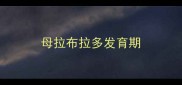 母拉布拉多发育期