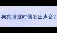 狗狗睡觉时候发出声音