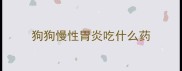 狗狗慢性胃炎吃什么药