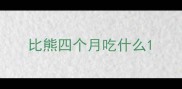 比熊四个月吃什么