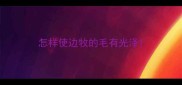 怎样使边牧的毛有光泽