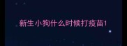 新生小狗什么时候打疫苗