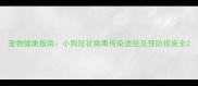 宠物健康指南小狗冠状病毒传染途径及预防措施全