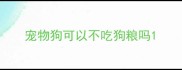 宠物狗可以不吃狗粮吗
