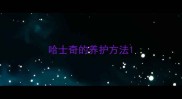 哈士奇的养护方法