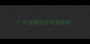 广州宠物店收购宠物狗