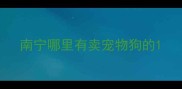 南宁哪里有卖宠物狗的