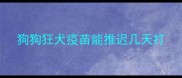 狗狗狂犬疫苗能推迟几天打