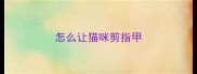 怎么让猫咪剪指甲