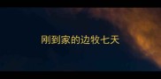 刚到家的边牧七天