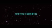 拉布拉多犬降低费用